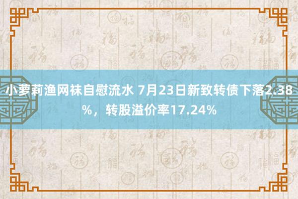 小萝莉渔网袜自慰流水 7月23日新致转债下落2.38%，转股溢价率17.24%