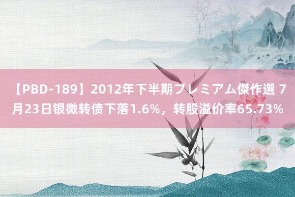 【PBD-189】2012年下半期プレミアム傑作選 7月23日银微转债下落1.6%，转股溢价率65.73%