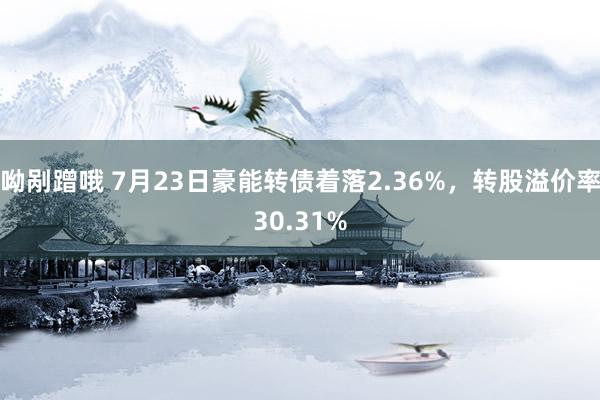 呦剐蹭哦 7月23日豪能转债着落2.36%，转股溢价率30.31%