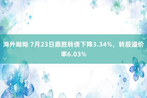 海外呦呦 7月23日鼎胜转债下降3.34%，转股溢价率6.03%