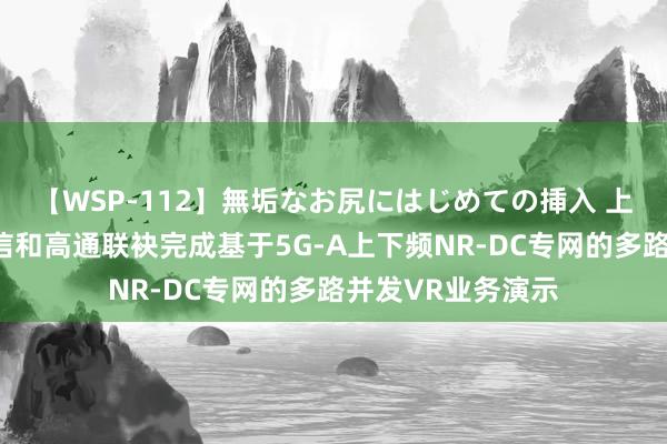 【WSP-112】無垢なお尻にはじめての挿入 上海电信、中兴通信和高通联袂完成基于5G-A上下频NR-DC专网的多路并发VR业务演示