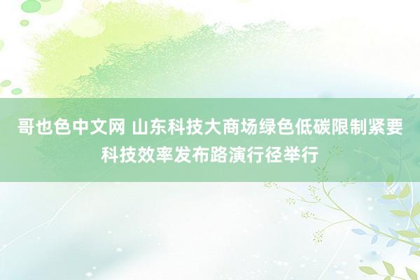 哥也色中文网 山东科技大商场绿色低碳限制紧要科技效率发布路演行径举行