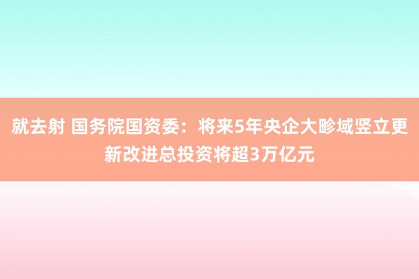 就去射 国务院国资委：将来5年央企大畛域竖立更新改进总投资将超3万亿元