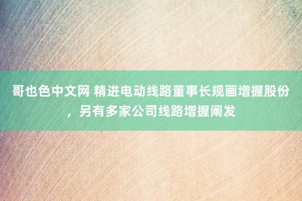 哥也色中文网 精进电动线路董事长规画增握股份，另有多家公司线路增握阐发