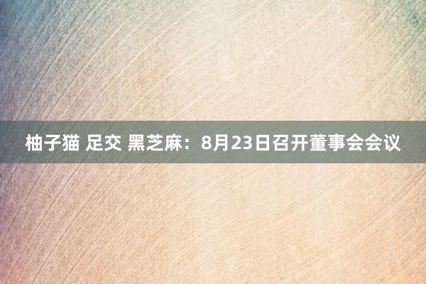 柚子猫 足交 黑芝麻：8月23日召开董事会会议