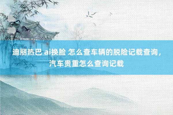 迪丽热巴 ai换脸 怎么查车辆的脱险记载查询，汽车贵重怎么查询记载