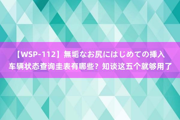 【WSP-112】無垢なお尻にはじめての挿入 车辆状态查询圭表有哪些？知谈这五个就够用了