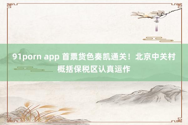 91porn app 首票货色奏凯通关！北京中关村概括保税区认真运作