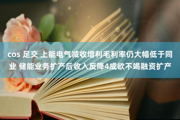 cos 足交 上能电气减收增利毛利率仍大幅低于同业 储能业务扩产后收入反降4成欲不竭融资扩产