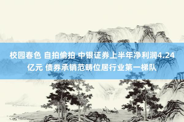 校园春色 自拍偷拍 中银证券上半年净利润4.24亿元 债券承销范畴位居行业第一梯队