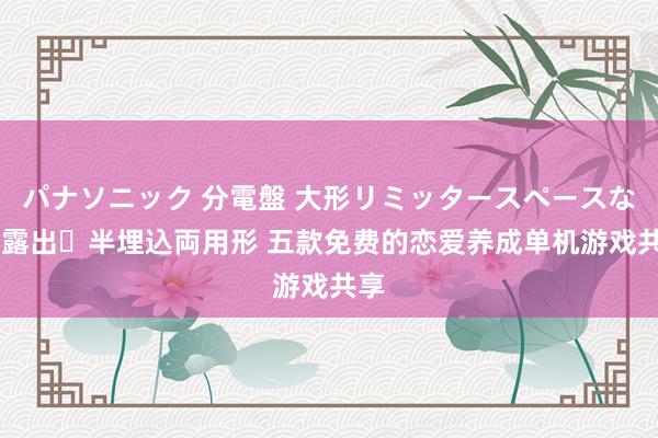 パナソニック 分電盤 大形リミッタースペースなし 露出・半埋込両用形 五款免费的恋爱养成单机游戏共享