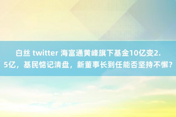 白丝 twitter 海富通黄峰旗下基金10亿变2.5亿，基民惦记清盘，新董事长到任能否坚持不懈？