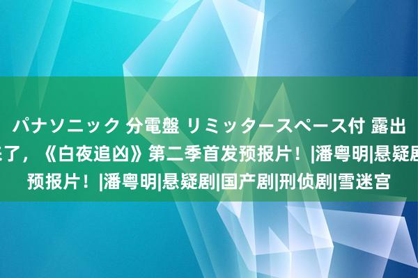 パナソニック 分電盤 リミッタースペース付 露出・半埋込両用形 来了来了，《白夜追凶》第二季首发预报片！|潘粤明|悬疑剧|国产剧|刑侦剧|雪迷宫