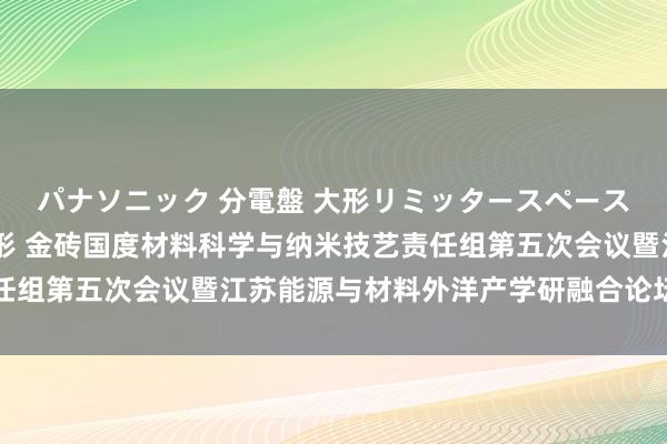 パナソニック 分電盤 大形リミッタースペース付 露出・半埋込両用形 金砖国度材料科学与纳米技艺责任组第五次会议暨江苏能源与材料外洋产学研融合论坛在苏举行